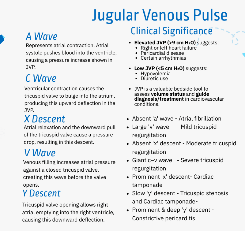 โInfographic showing normal jugular venous pressure (JVP) waveform with labeled a, c, and v waves, along with x and y descents. Highlights physiological events during the cardiac cycle including atrial contraction, tricuspid valve bulging, and venous filling. Educational illustration for understanding right atrial hemodynamics.โ