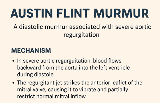 Austin Flint Murmur