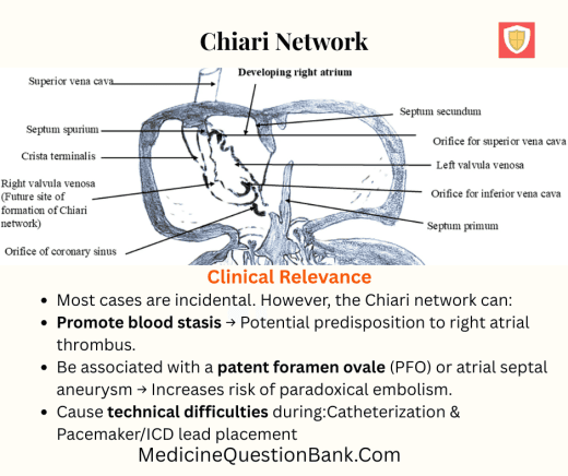 Chiari network