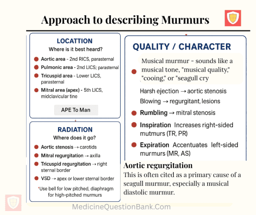 A systematic approach to describing murmurs