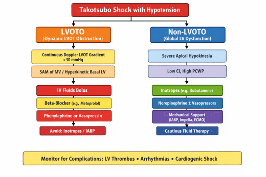 diagnosis and management of stress cardiomyopathy (Takotsubo syndrome)